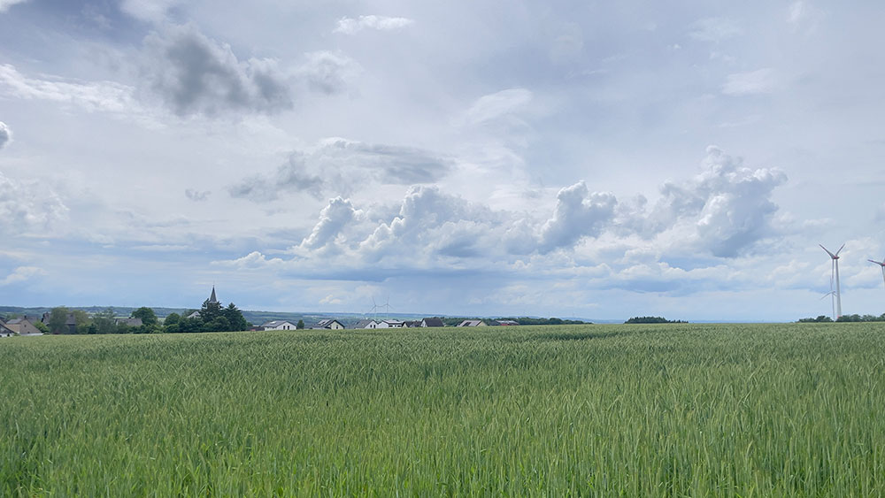 Landschaft bei Braunshorn