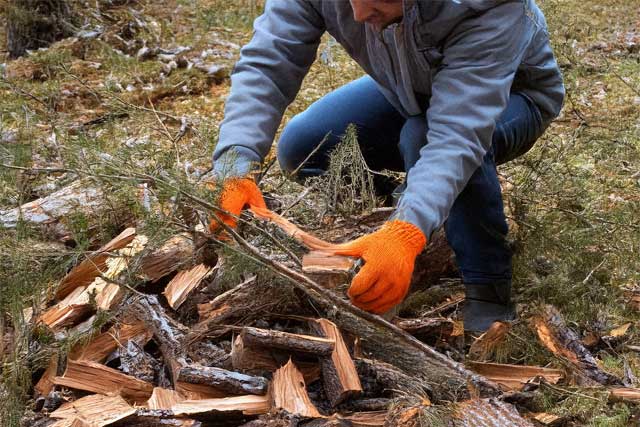Person mit grauer Jacke und orangefarbenen Handschuhen kniet im Wald und sammelt gespaltenes Holz von einem kleinen Haufen