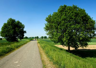 Schinderhannes Radweg